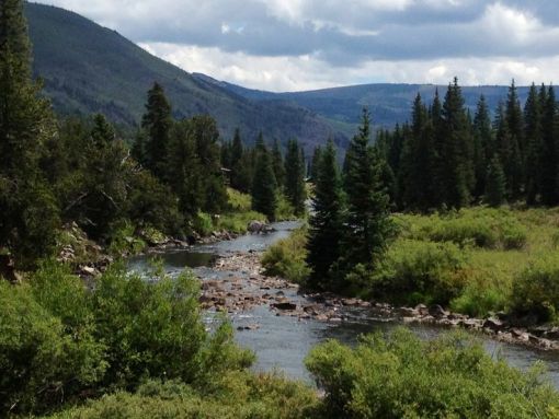 Tin tức trong ngày Việt Nam Trang tin tức Việt Nam Tin tức mới nhất 27 11 2025