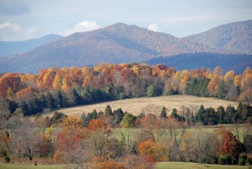 Tin tức trong ngày Việt Nam Trang tin tức Việt Nam Tin tức mới nhất 30 11 2025