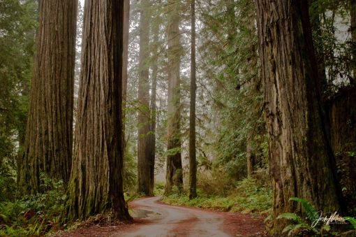 Tin tức trong ngày Việt Nam Trang tin tức Việt Nam Tin tức mới nhất 30 11 2025