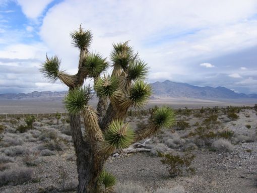 Tin Tức Trong YouTube Ngày 19 tháng 10 năm 2025